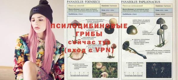 амф Белокуриха